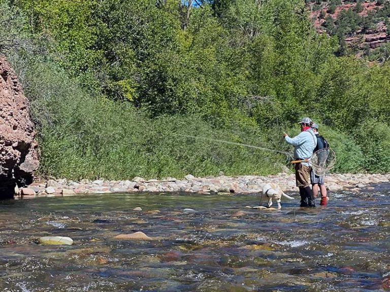 Guide & Angler in River